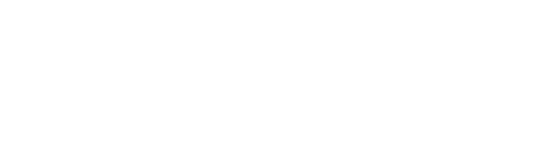 BibApp-Logo Quer · Weiß